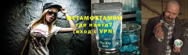 прущие грибы Гусев