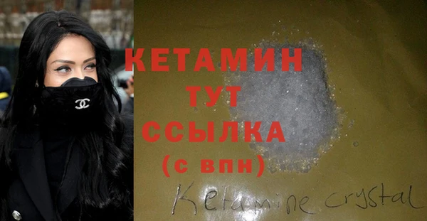прущие грибы Гусев