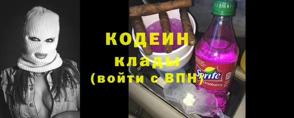 прущие грибы Гусев