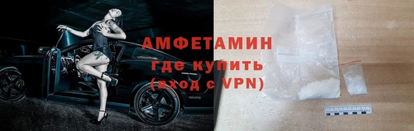 прущие грибы Гусев