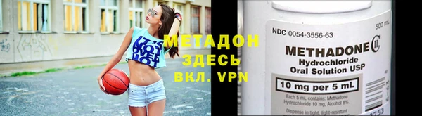прущие грибы Гусев