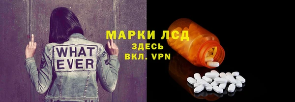 прущие грибы Гусев