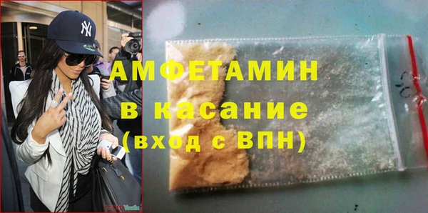 прущие грибы Гусев