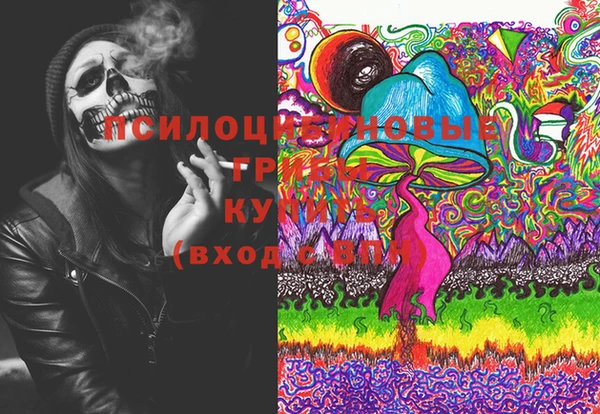 прущие грибы Гусев