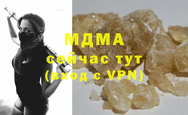 прущие грибы Гусев