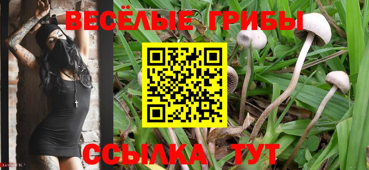 Псилоцибиновые грибы MAGIC MUSHROOMS  Вход с VPN  Донецк 