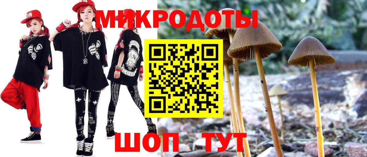 Псилоцибиновые грибы Psilocybine cubensis Донецк